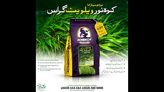 Kohenoor F1 Hybrid Velvet Grass Final Sowing Method کوہ نور ہائبرڈ رویلویٹ چارے کی کاشت کا طریقہ screenshot 5
