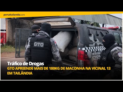 GTO apreende mais de 180kg de maconha na vicinal 13, em Tailândia