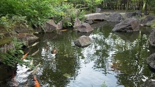 Фото слайд-шоу Замков. Замок Химэдзи (Himeji Castle) в Японии. Сад(Замок Химэдзи. Сад. Красивое слайд шоу из фотографий с музыкой. Примеры, образцы видео. Замок белой цапли...., 2014-08-16T23:22:13.000Z)