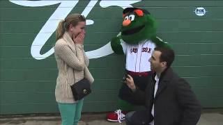 2013/04/13 Fan proposes at Fenway