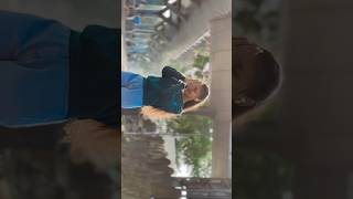 Babasaheb Ambedkar Nav He Gajtay Ho Jagbhar  Jay Bhim  Bhim Status