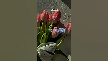امين ياربي العالمين حقق امنياتي يالله 