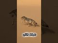 ٢٦ أكتوبر ٢٠٢٥