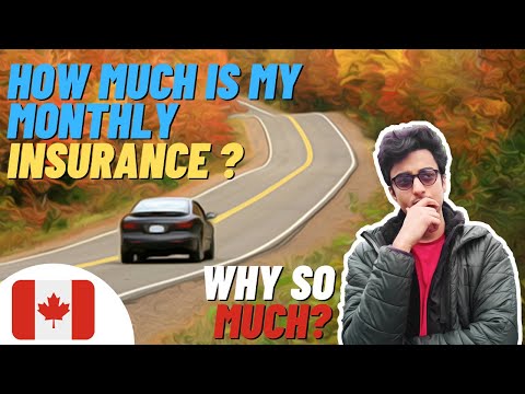 REDUCE YOUR CAR INSURANCE !!! || WHY STUDENTS GET HIGH PREMIUMS !