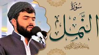 سورة النمل كاملة - بيشه وا قادر الكردي