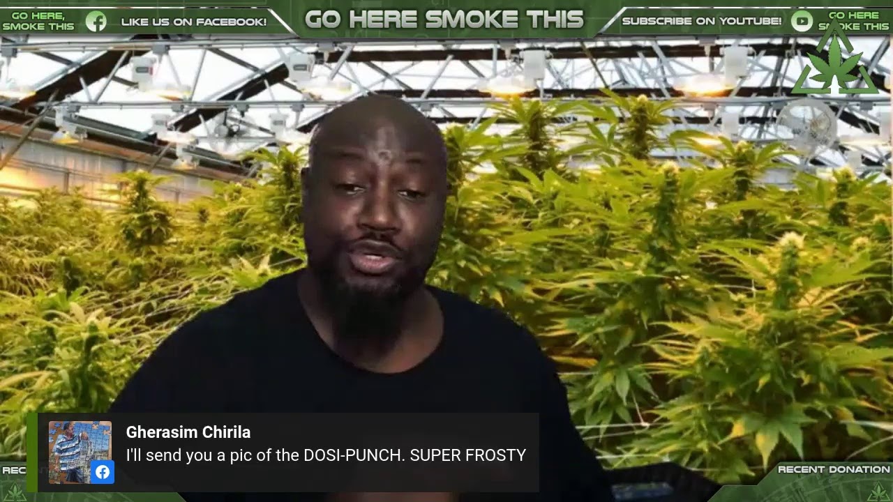 Morning Wake/Bake with Slizwaq