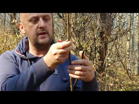 Video: Kako obnoviti nekretninu pravim redoslijedom: 15 koraka