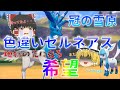 【ゆっくり実況】色違いゼルネアスが欲しい！生命と再生を司るとか一家に一匹は欲しい！【冠の雪原】