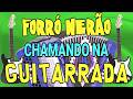 Forró nerão chamando na GUITARRADA, nordestino,forrózão,xote,mix,song brazil,hits,melody,dance
