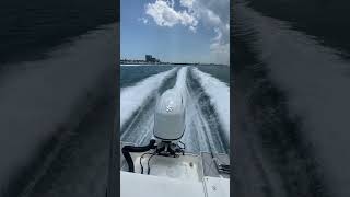 The little 150hp that could run away from monster with quad engines #shorts #miami #boat