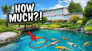 $80,000 Backyard KOI POND (With Fish Worth THOUSANDS Each!)