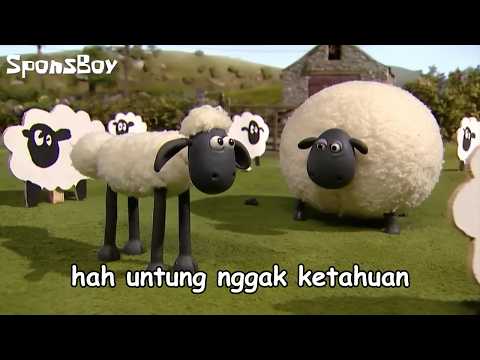 Sheep Vacation PART 1