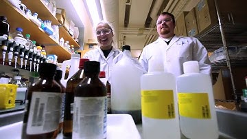 Triumvirate Environmental Overview