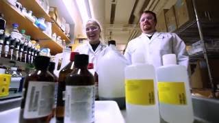 Triumvirate Environmental Overview