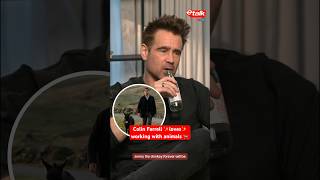 Colin Farrell ✨loves✨ working with animals 🐐