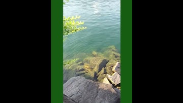 Geocaching: When the Cache Dangles from a Wall and Laughs at Your BenchTheories! 😂 #happycaching.ch