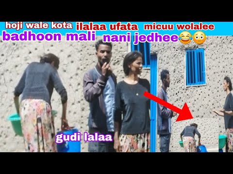 Walen Ufataa Micuu Wolaltee Badhoni Ittii Kolfee Shamaraan Biyaa Arabaa Waan Bekuu Qabdan