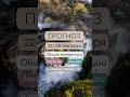 прогноз 22-28 сентября #прогнознанеделю #прогнозы #руны #руническийрасклад