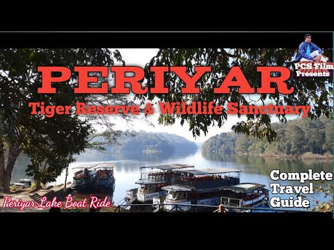 Video: Periyar National Park: The Complete Guide