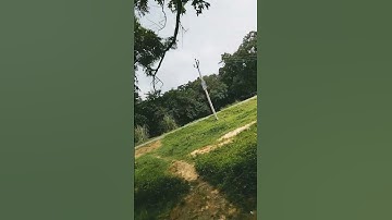 Thumbnail of August 11, 2025 #nature #song #love#villagelife #nature #newvideo #village#sorts  #youtubeshorts