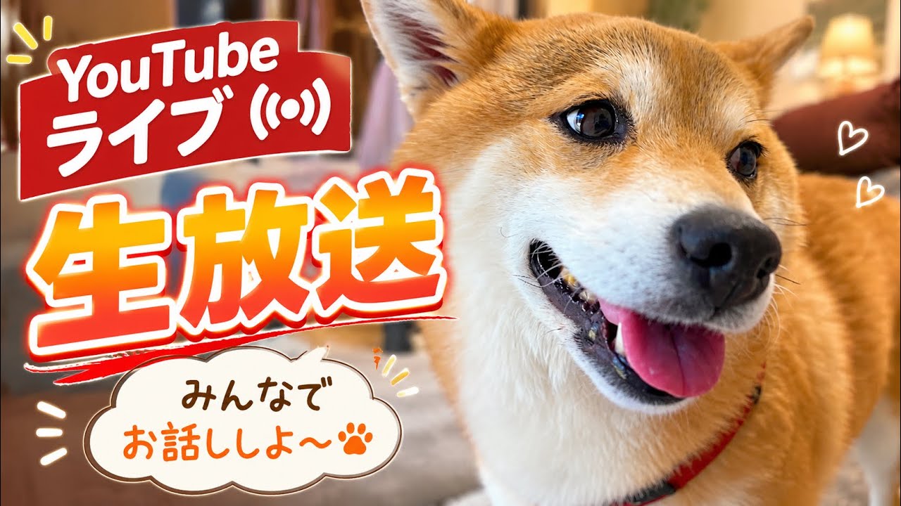 I asked Fuku-chan how she's feeling right now. - YouTube