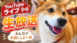 I asked Fuku-chan how she's feeling right now. - YouTube