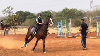 Mascot refusing jumps 🤦‍♀️#equestrian #horse #equestrianrider #horseriding #horselessons #horsejump