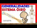 ✅ SISTEMA ÓSEO. -Esquelético-. Tipos de Huesos, clasificacion, función.