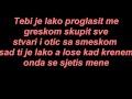 Tose Proeski - Srce nije kamen (Lyrics) by Nikola