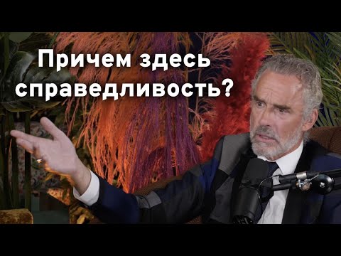 Что делать, когда всё против тебя? | Джордан Питерсон