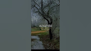 ولقد خلقنا الانسان سلالة من الطين #سورة_المؤمنون #القارئ #ياسر_الدوسري #تلاوة_خاشعة #يوم_الجمعة