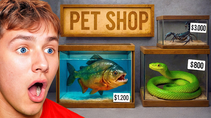 He Found an ABANDONED Pet Store!