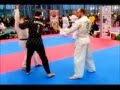 Hapkido italia  maratona marziale  carrara 123112013