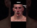 UFC KHABIB fight #trending #shorts #viralvideo #fight