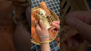 It looks like an alien creature, flat as a shoe sole—they call it a mantis shrimp #shorts