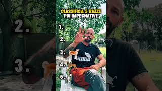 30 luglio 2026