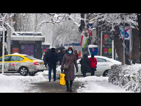 Жесткий дефицит электричества в Таджикистане. Когда в стране снимут лимит на подачу электроэнергии?