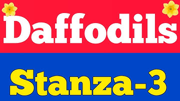 Daffodils Stanza -3( Explanation & Imp. Question and Answer Discussion)