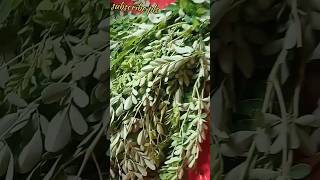 bamboo shoot aur bhaji ki recipe/tasty and healthy recipe ?/viral shorts healthy/@Vlogwithmamata