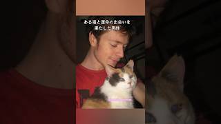 猫があまり好きでなかった男性が盲目の猫を家族に迎えると・・・ #感動  #動物 #cat  #猫