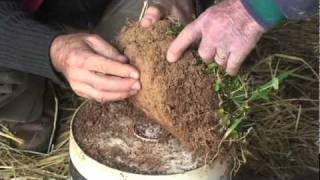 2 The Science of Healthy Soils