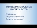 Музыкальные инструменты. Клавишные, струнно-смычковые, струнно-щипковые.