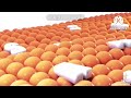 Samsung Logo Balls In RGB To BGR Reversed 