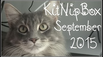 KitNipBox Unboxing! | September 2015