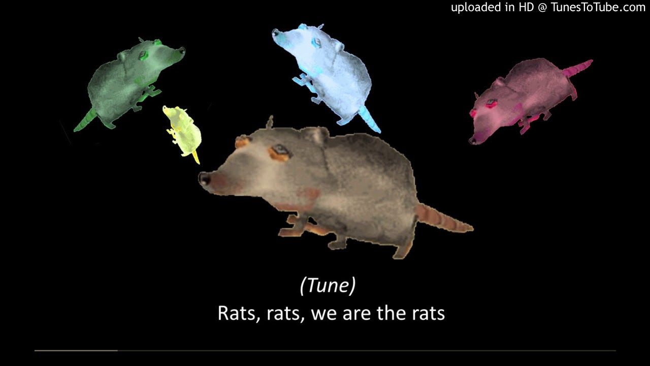 Rats Birthday Bash! Lyrics - YouTube