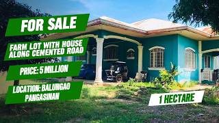 (583) FOR SALE 1 HECTARE FARM LOT WITH BUNGALOW HOUSE, ALONG CEMENTED ROAD, WITH MANGO TREES (583) FOR SALE 1 HECTARE FARM LOT WITH BUNGALOW HOUSE, ALONG CEMENTED ROAD, WITH MANGO TREES