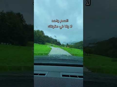 لاتامن العقرب ولاتامن الداب اكسبلور لايك اشتراك تيك توك Shorts Travel ترند