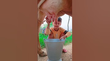 Thumbnail of choti choti gaiya fuefgb #love #song #funny
