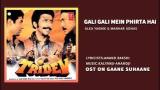 GALI GALI MEIN PHIRTA HAI- HQ HD SOUND #AUDIO_ROLL