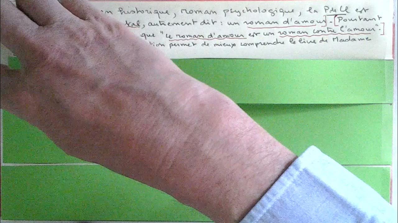 Dissertation Princesse de Clèves 1  YouTube